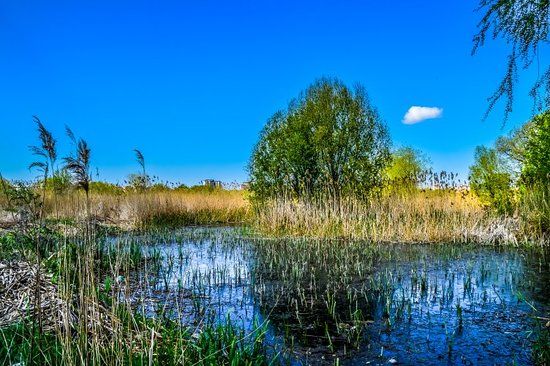 Lake Vacaresti